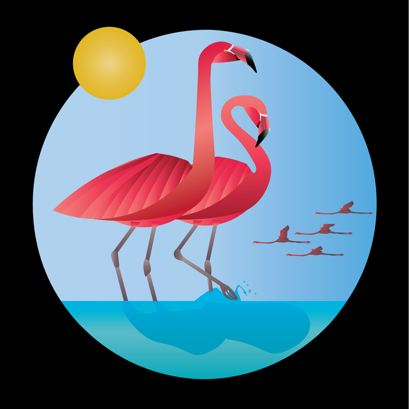 flamingos, Adobe Illustrator