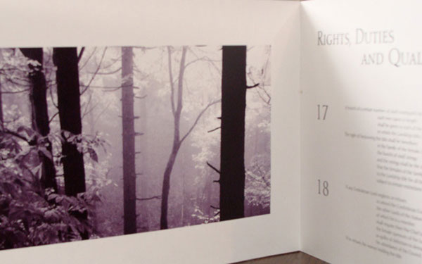 accordion book
