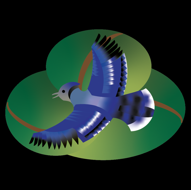 Blue Jay, Illustrator