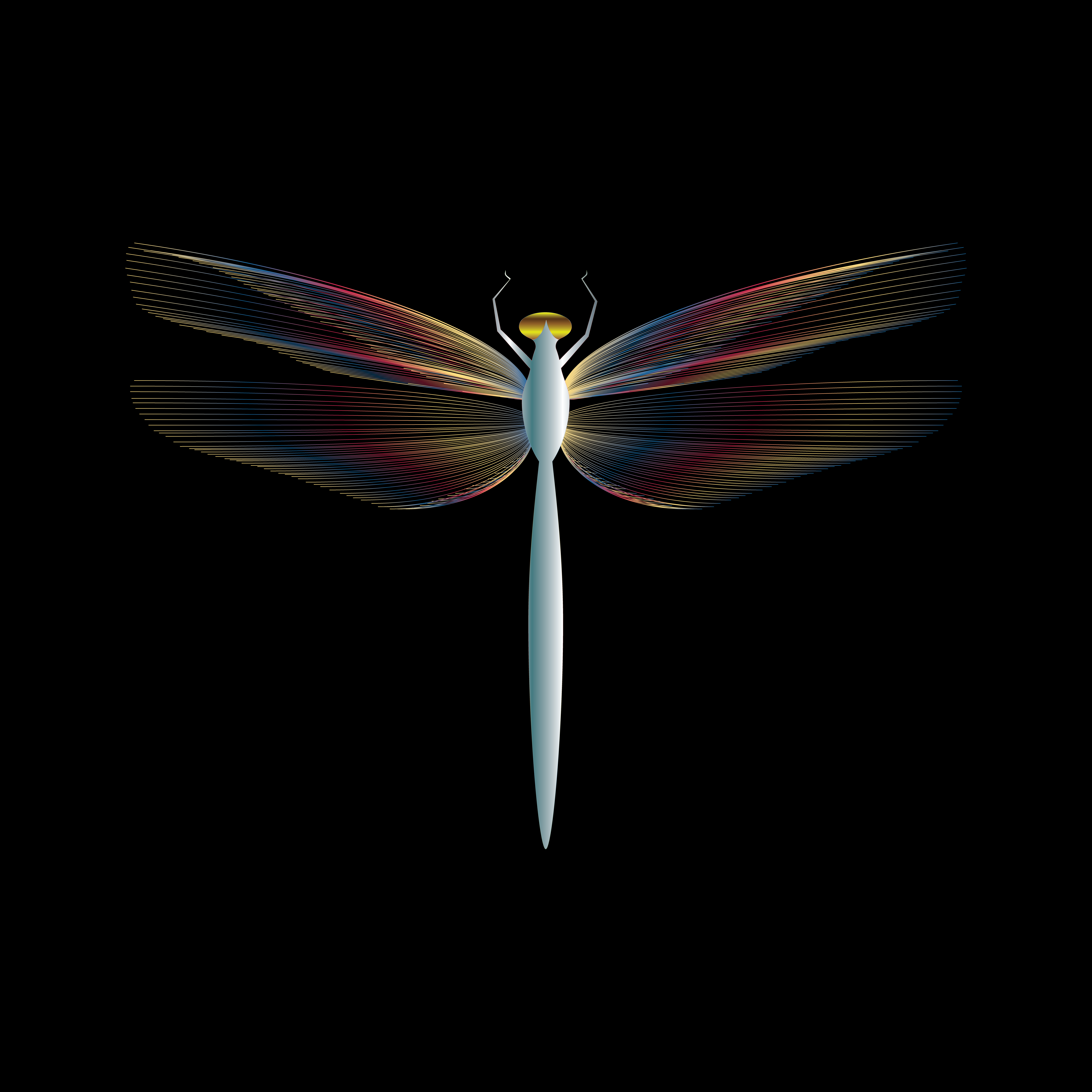 DRAGONFLY, PRINT DESIGN